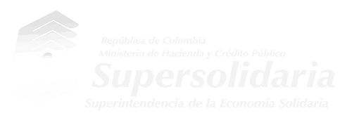 Primer Nivel de Supervisión Image